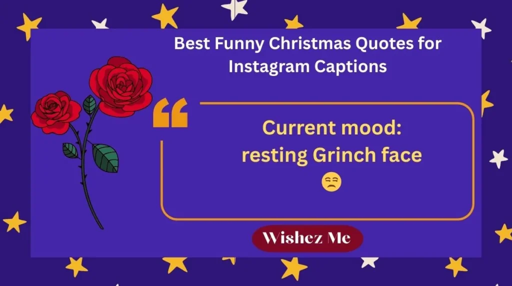 Best Funny Christmas Quotes for Instagram Captions