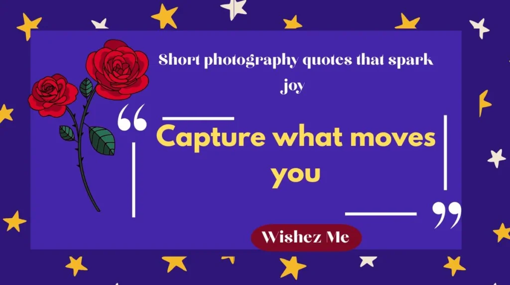 Short photography quotes that spark joy